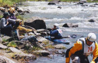 image5.jpg